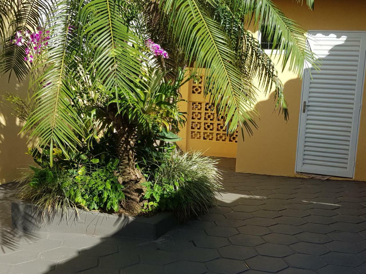 Cantinho Sao Joao Olímpia Kültér fotó